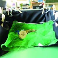 Karton BauchLadenTheater mit Bühnenbild.