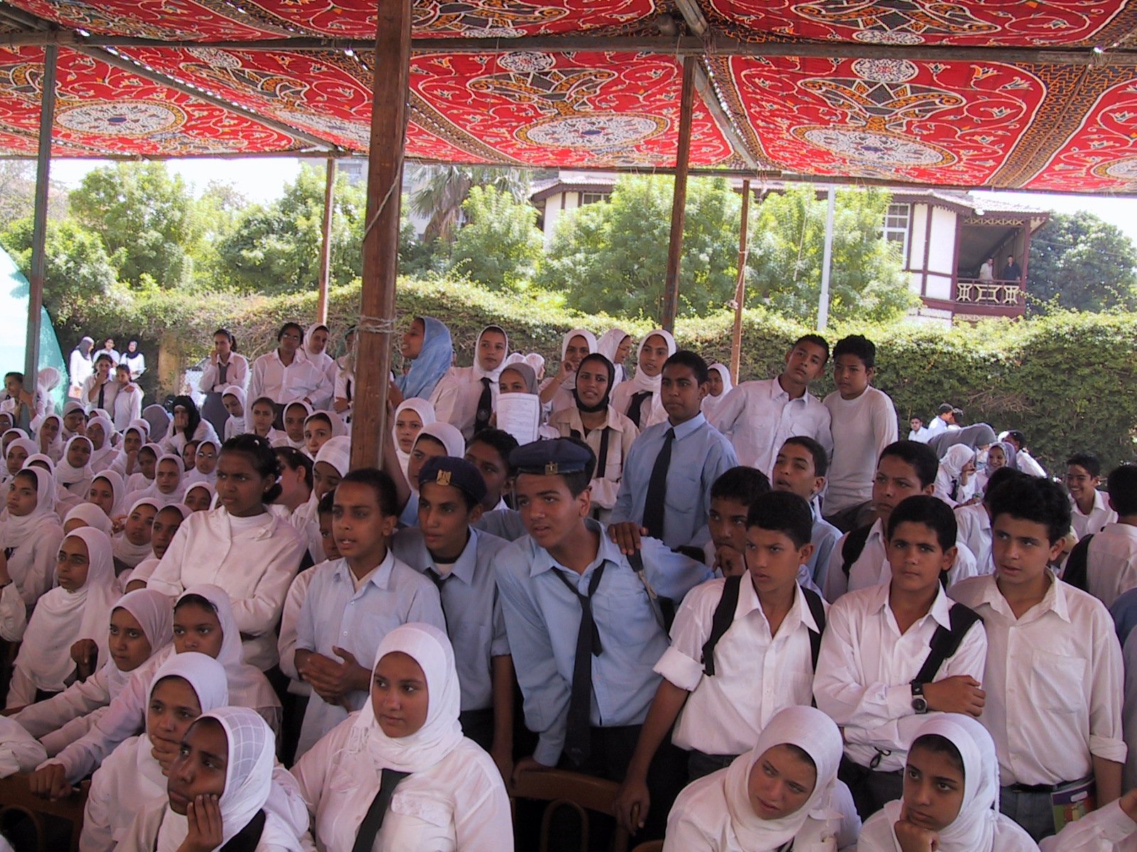 Bauchladentheater-Auftritte-Deutsches-Festival-Nildelta